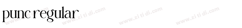 punc regular字体转换